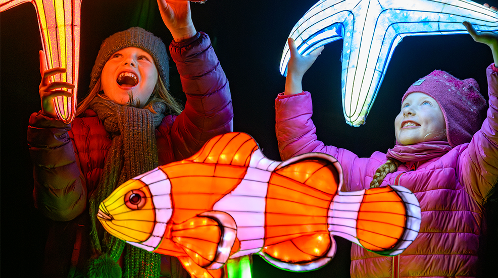 Children holding up giant star fish and clown fish lights at Edinburgh Zoo's Giant Lantern's trail